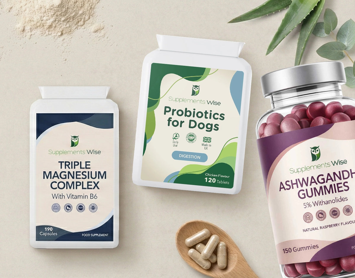 Complete Wellness for You & Your Dog