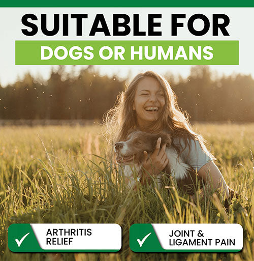 Green Lipped Mussel Capsules 90 x 500mg