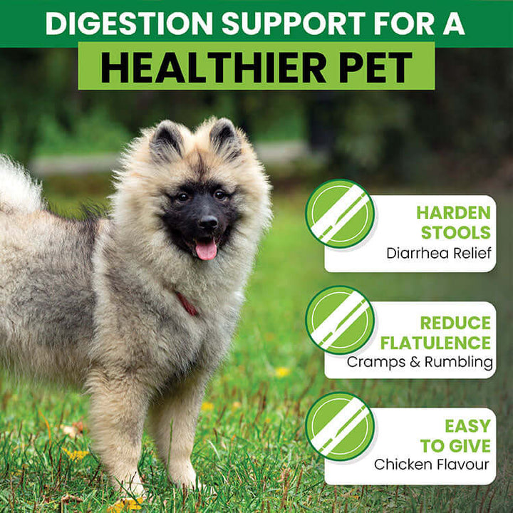 Dog promoting digestive health, featuring benefits like stool hardening, reducing flatulence, and chicken flavor.