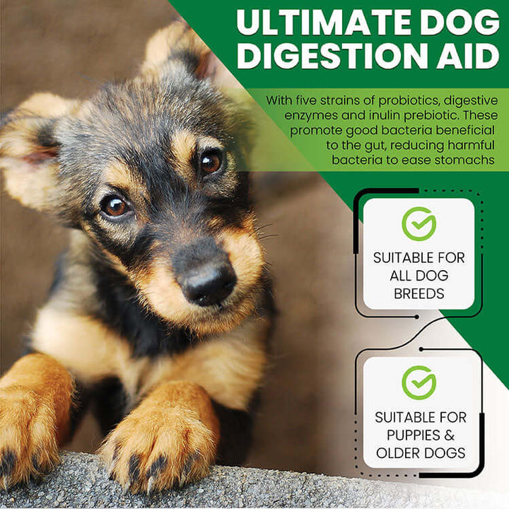 Cute puppy promoting ultimate dog digestion aid with probiotics and prebiotics for all dog breeds and ages.