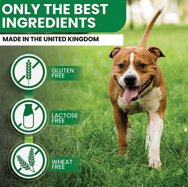 Probiotics For Dogs 120 Chicken Flavour Tablets