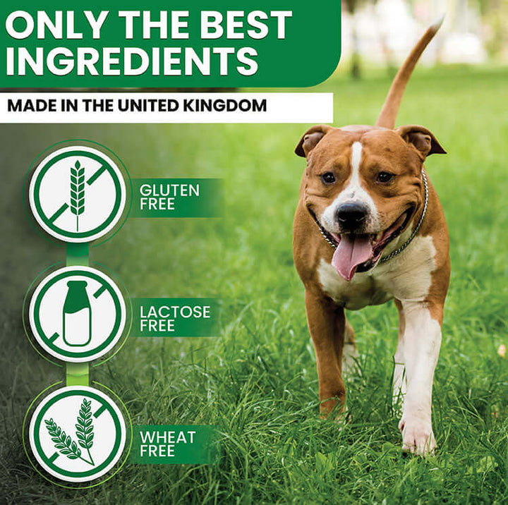 Probiotics For Dogs 120 Chicken Flavour Tablets