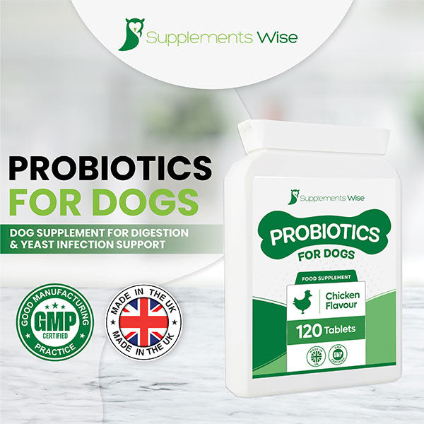 Probiotics for Dogs from Supplements Wise, chicken flavour, 120 tablets for digestion support, GMP certified, made in the UK.