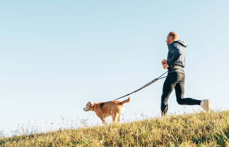 Can Dogs Make Good Fitness Buddies?