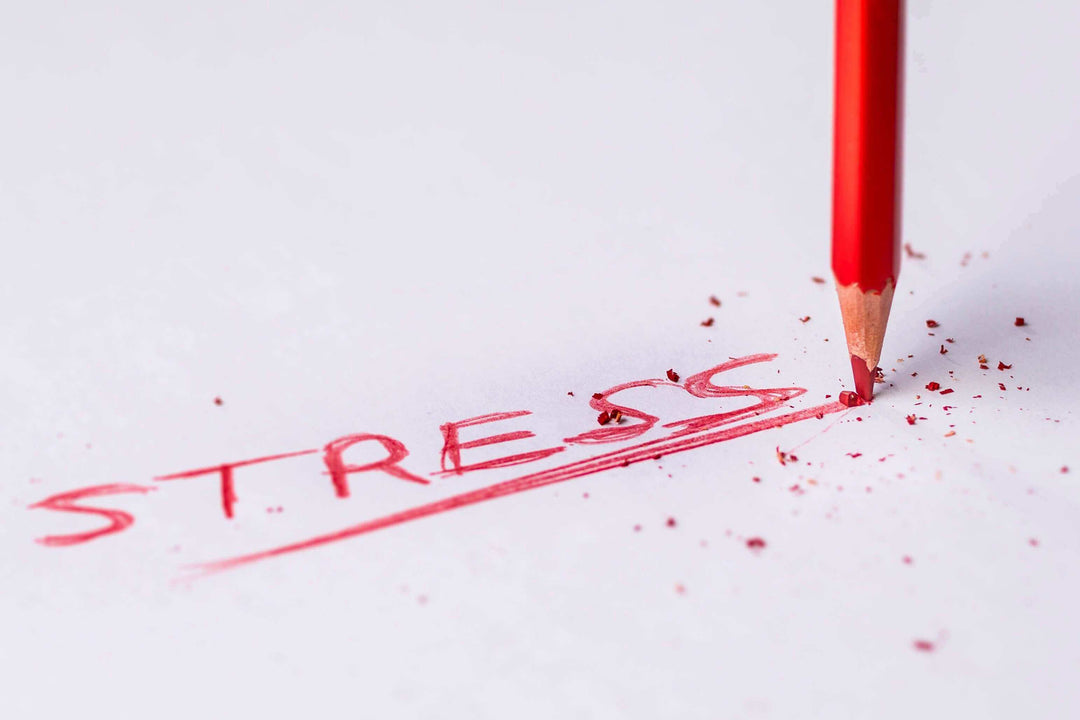 stress relief gummies