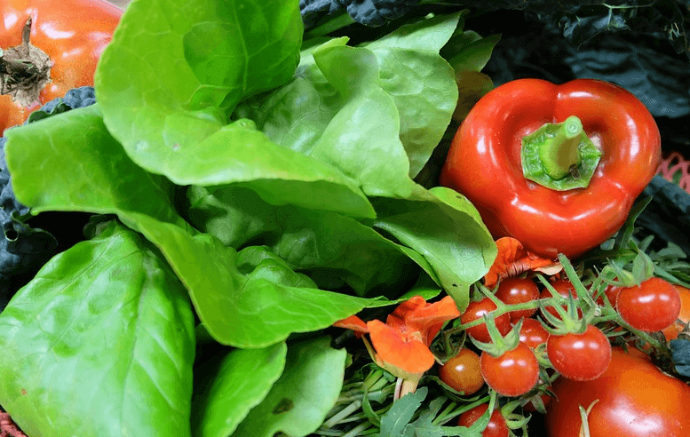 How to Improve Poor Circulation with Your Diet