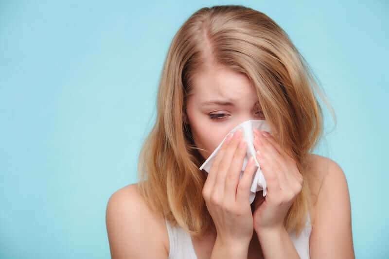 Items in Your Home That Are the Biggest Source of Allergens