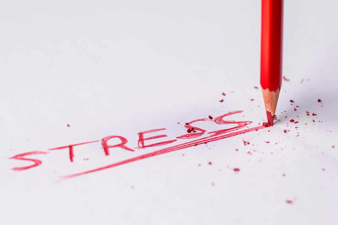 stress relief gummies