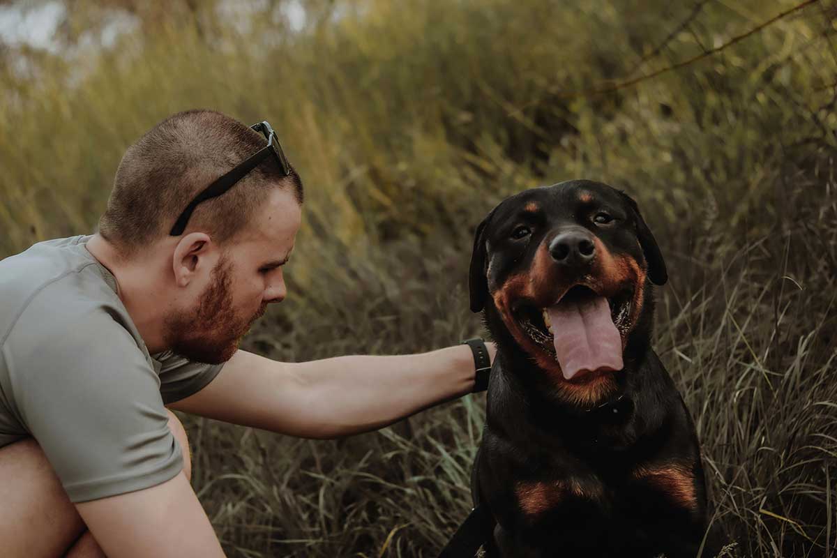 Dog Urinary Infections: Causes, Prevention and Natural Supplements That Help