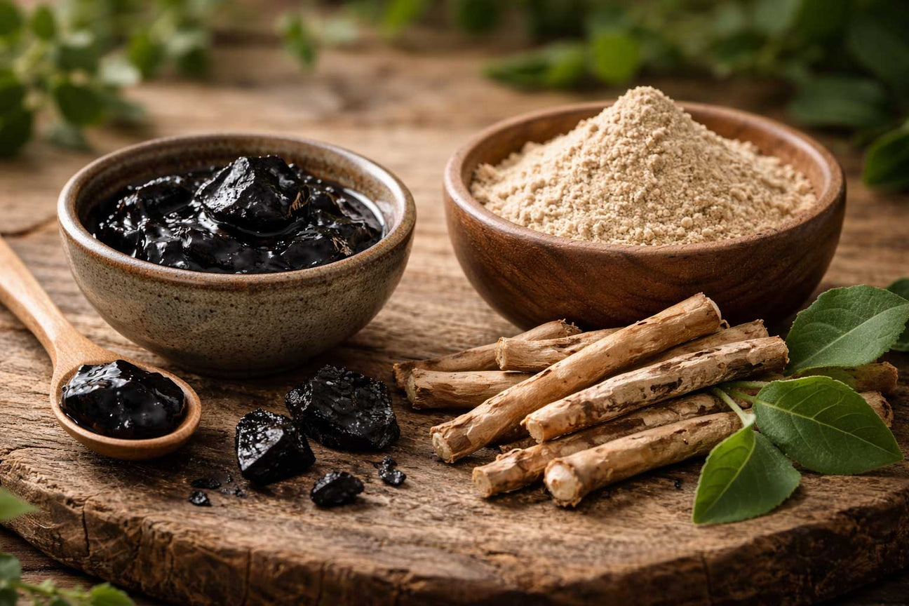 Shilajit vs Ashwagandha: Differences, Benefits and Which to Take
