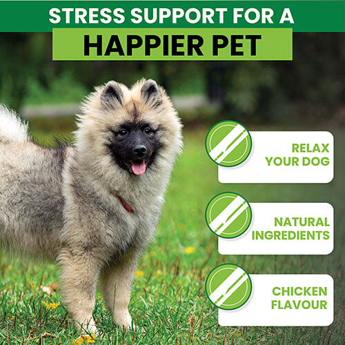 Dog Calming Tablets x 120 Chicken Flavour