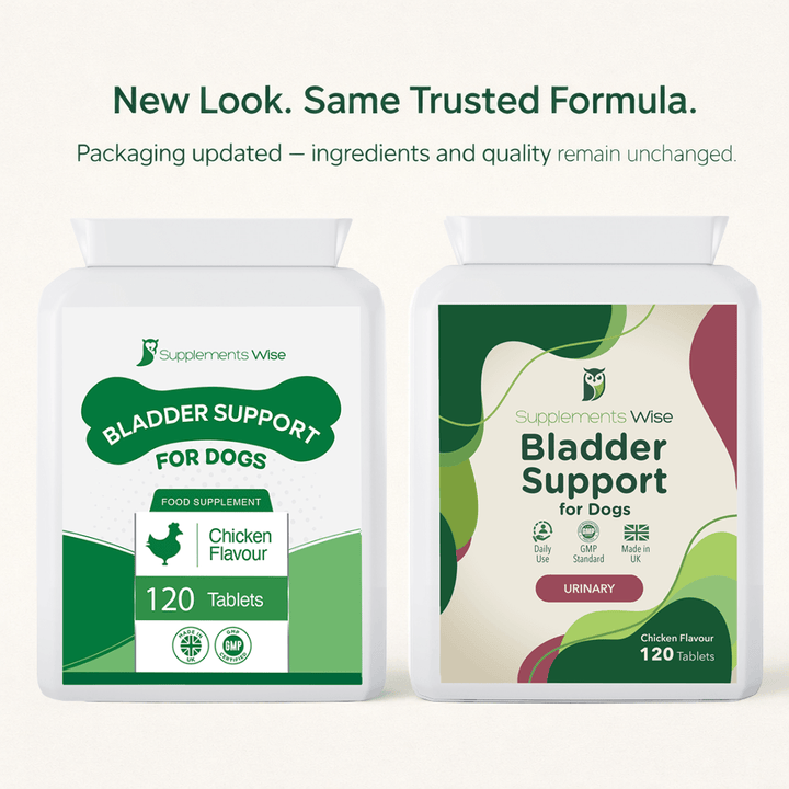 Bladder Support for Dogs – Everyday Urinary Comfort | 120 Tablets | UK Made