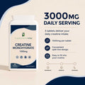 Creatine Monohydrate Tablets 1000mg - image 3