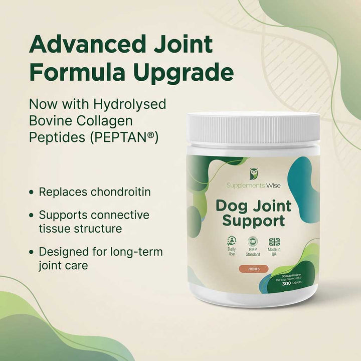 Dog Joint Support Tablets – Daily Joint Function Support | 300 Tablets
