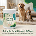 Dog Joint Support - image 6