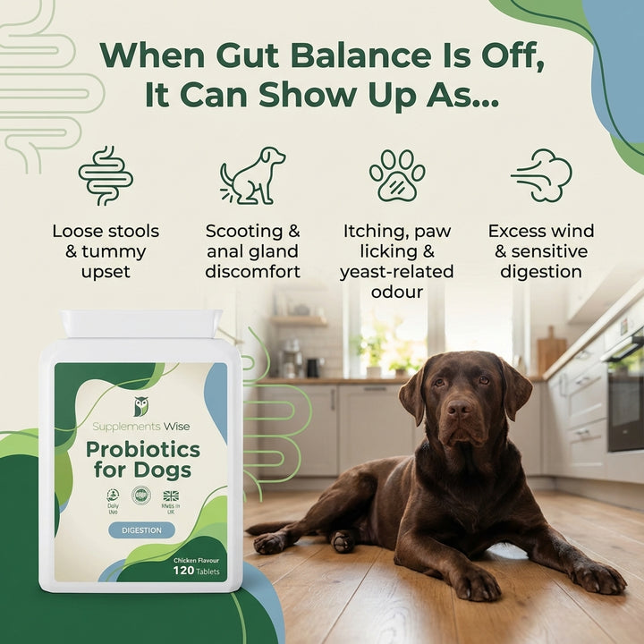 Probiotics For Dogs 120 Chicken Flavour Tablets