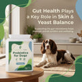 Probiotics for Dogs - image 3