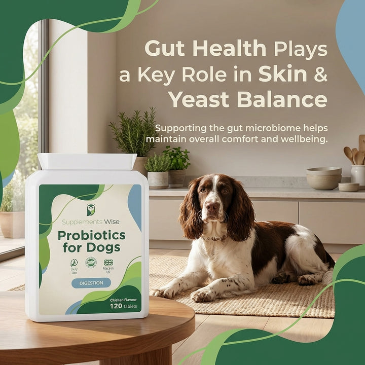 Probiotics For Dogs 120 Chicken Flavour Tablets