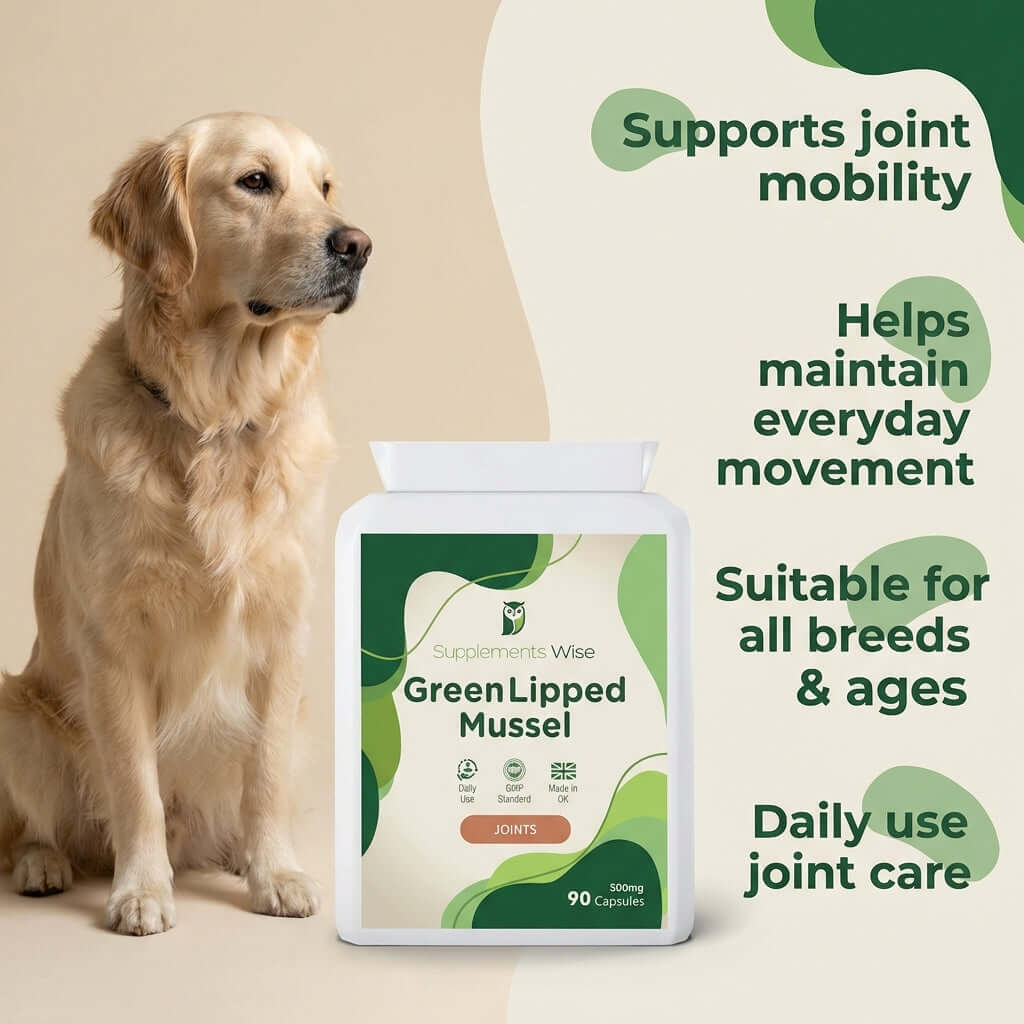 Green Lipped Mussel Capsules 90 x 500mg