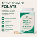 Methyl Folate 5-MTHF 600ug Quatrefolic - image 2