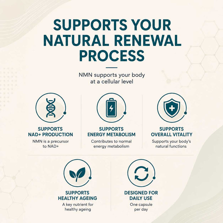 NMN 500mg Capsules | 60 Delayed Release Vegan Capsules | UK Made