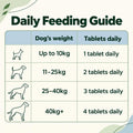 Probiotics for Dogs | Prebiotics & Digestive Enzymes | 120 Tablets