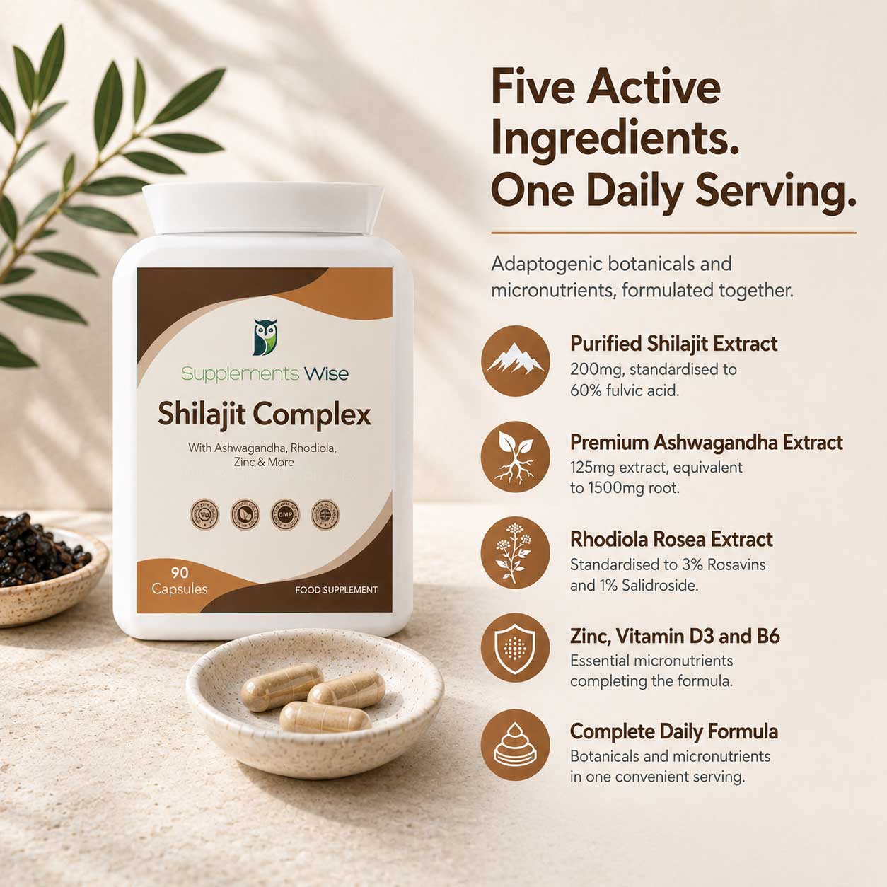 Shilajit Complex - image 2
