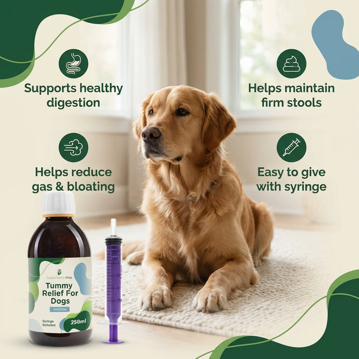 Tummy Relief for Dogs 250ml