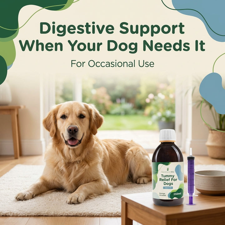 Tummy Relief for Dogs 250ml