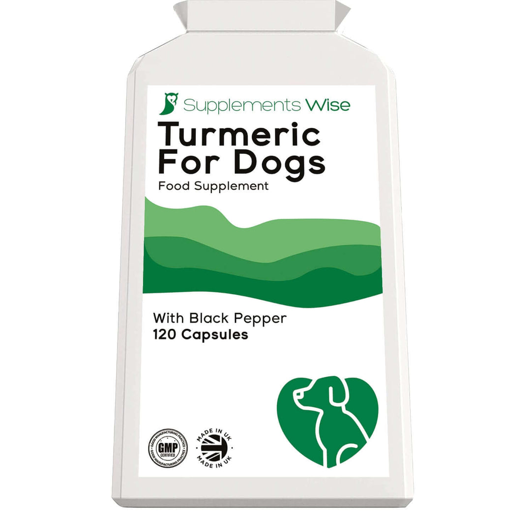 turmeric for dogs