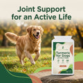 Turmeric for Dogs - image 5