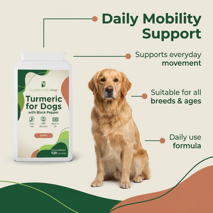 Turmeric for Dogs | Pure Extract with Black Pepper | 120 or 300 Capsules